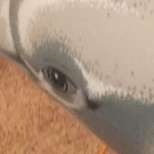 Meet your Posher, Sammy